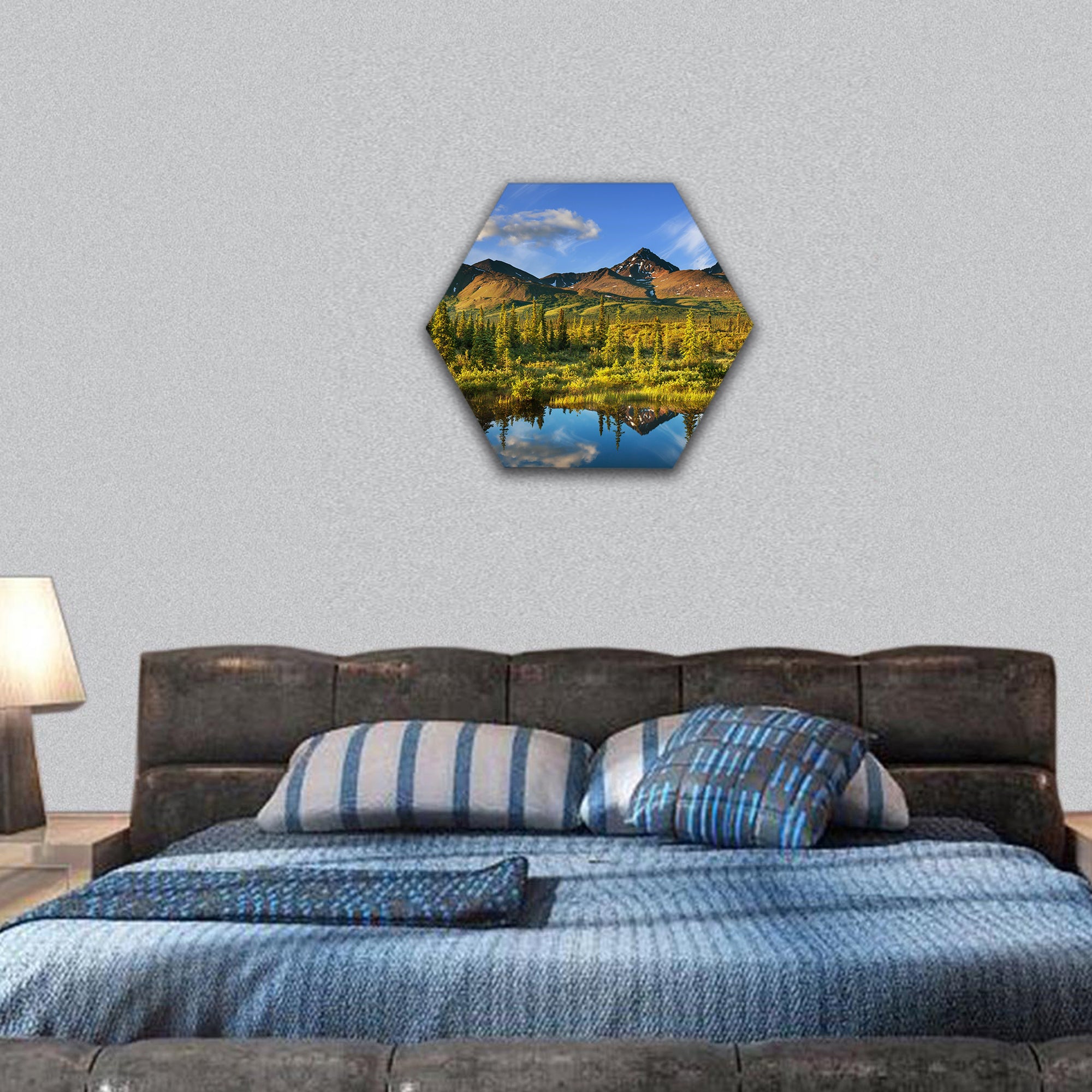 Serenity lake in tundra on Alaska hexagonal canvas wall art