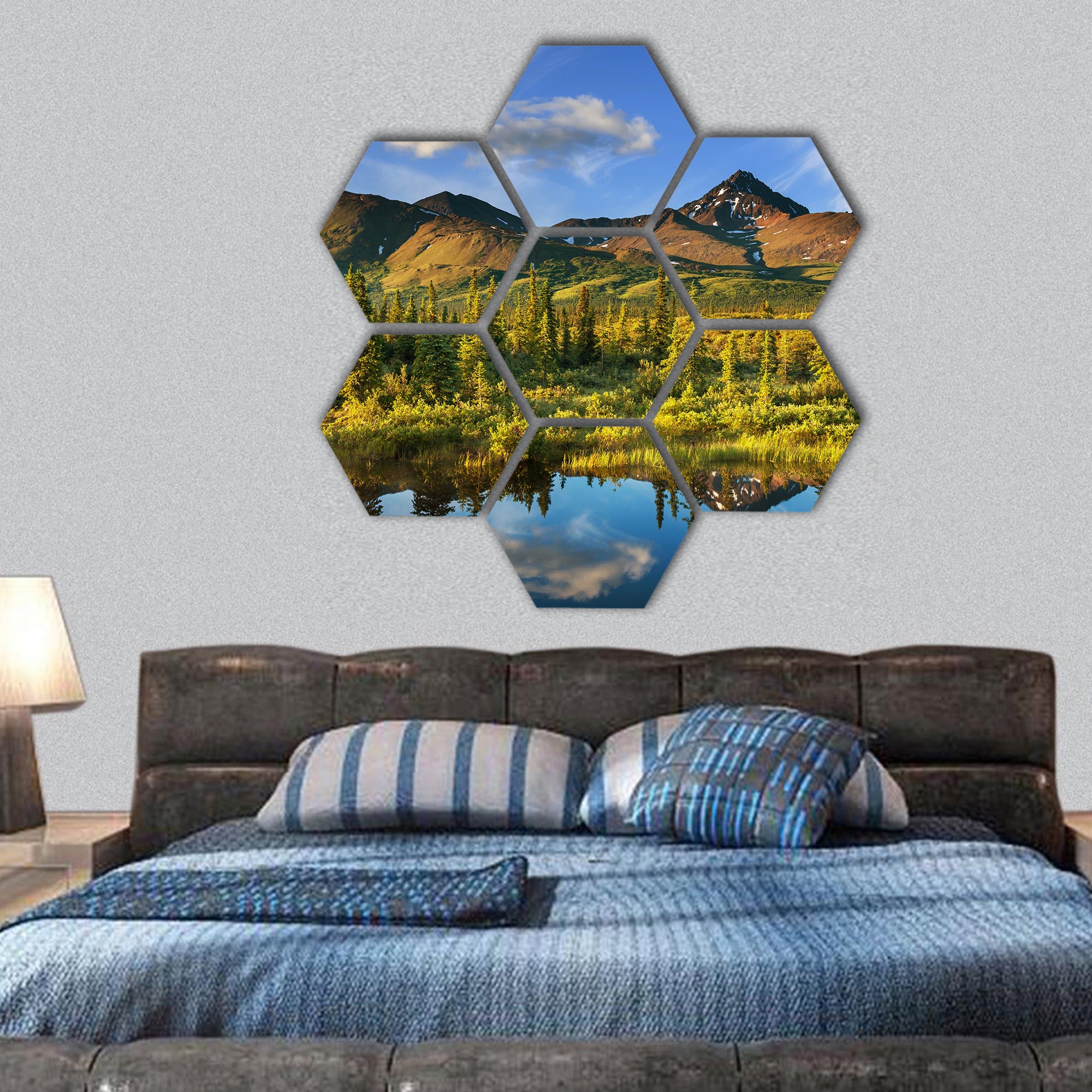 Serenity lake in tundra on Alaska hexagonal canvas wall art