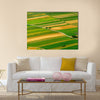 Green fields aerial view before harvest at summer Multi panel canvas wall art