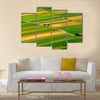 Green fields aerial view before harvest at summer Multi panel canvas wall art