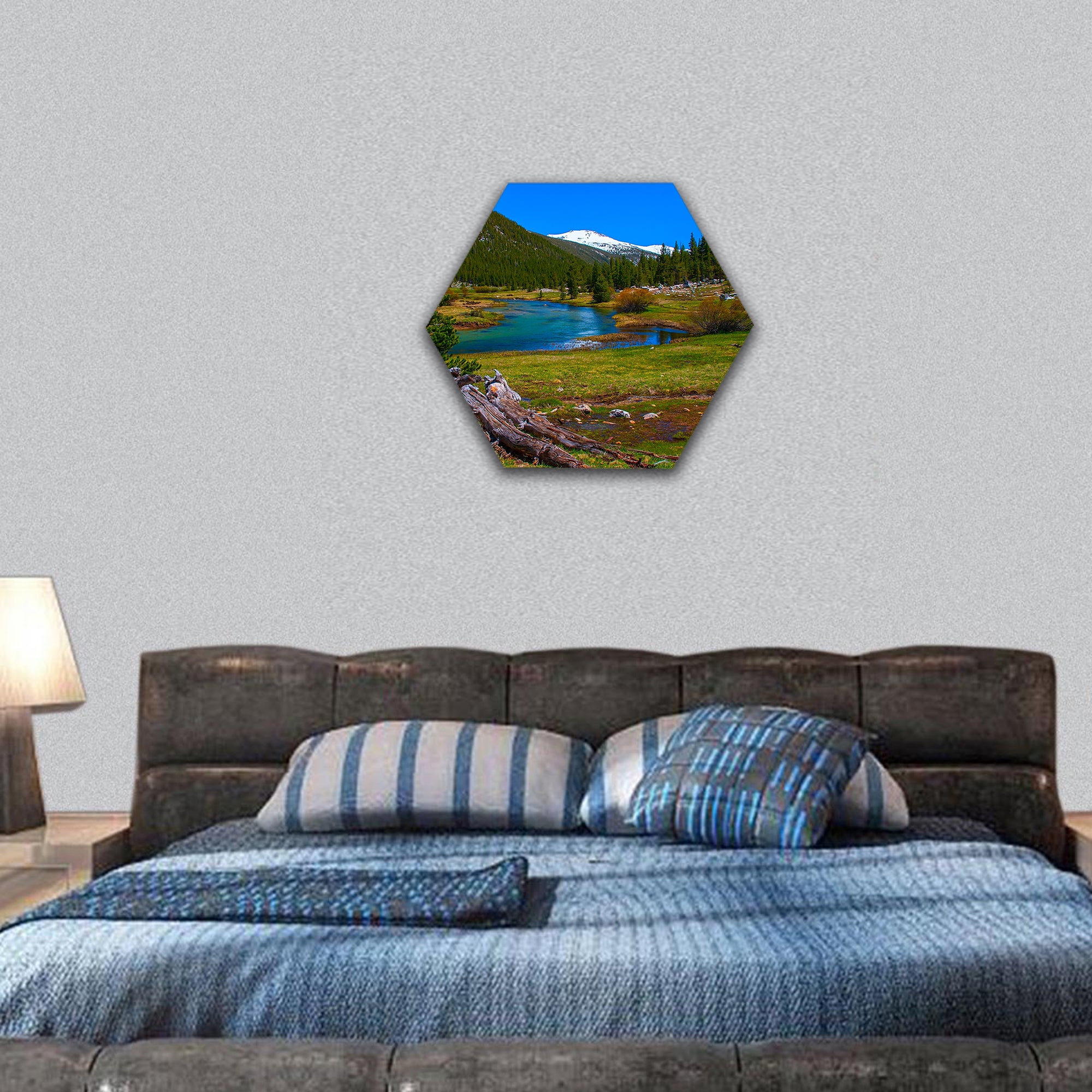Lyell fork of Tuolumne river along Pacific Crest Trail hexagonal canvas wall art