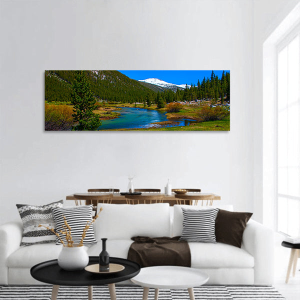 Lyell fork of Tuolumne river ,Pacific Crest Trail, Yosemite Park panoramic canvas wall art