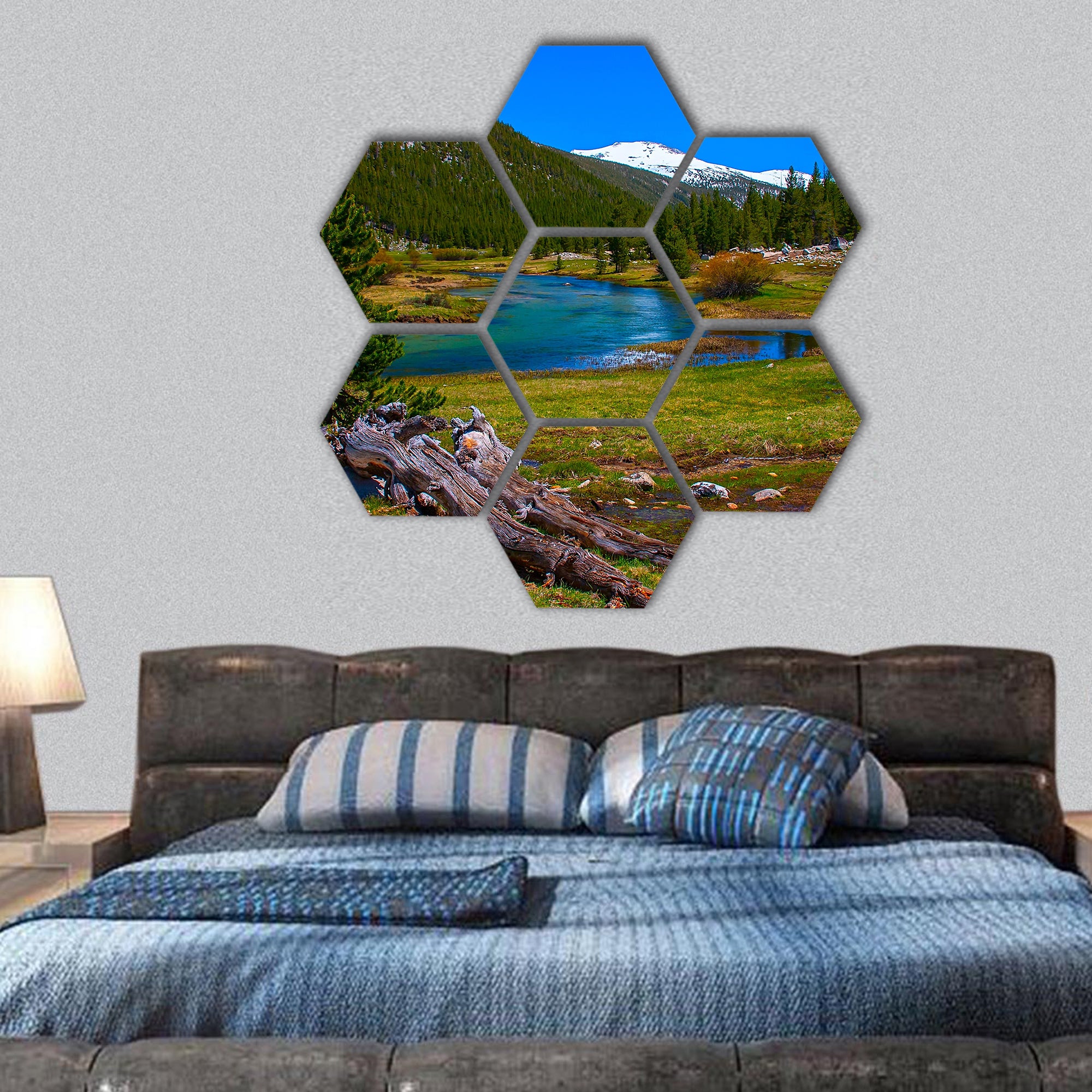Lyell fork of Tuolumne river along Pacific Crest Trail hexagonal canvas wall art