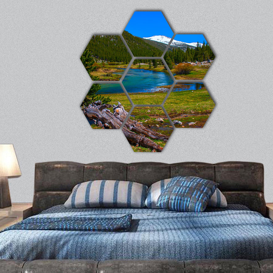 Lyell fork of Tuolumne river along Pacific Crest Trail hexagonal canvas wall art