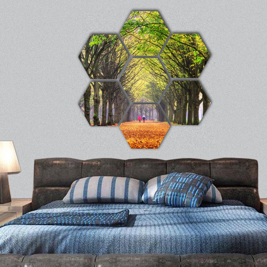 forest in autumn in het Amsterdamse bos Amsterdam wood hexagonal canvas wall art