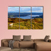 A Sheep overlooking Windermere Lake in the Lake District Multi panel canvas wall art