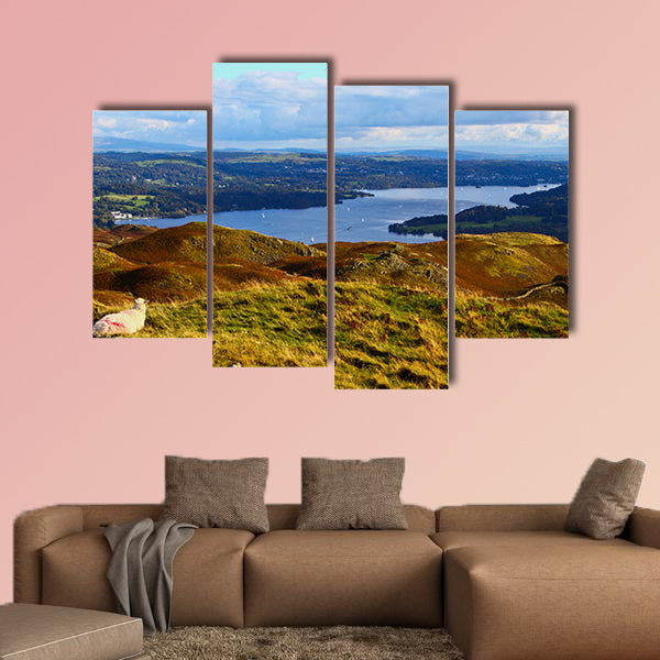A Sheep overlooking Windermere Lake in the Lake District Multi panel canvas wall art