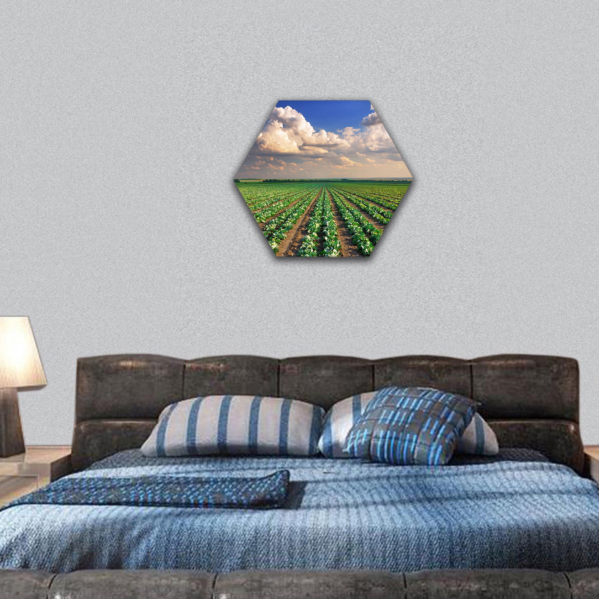 Sunrise over the cabbage field hexagonal canvas wall art