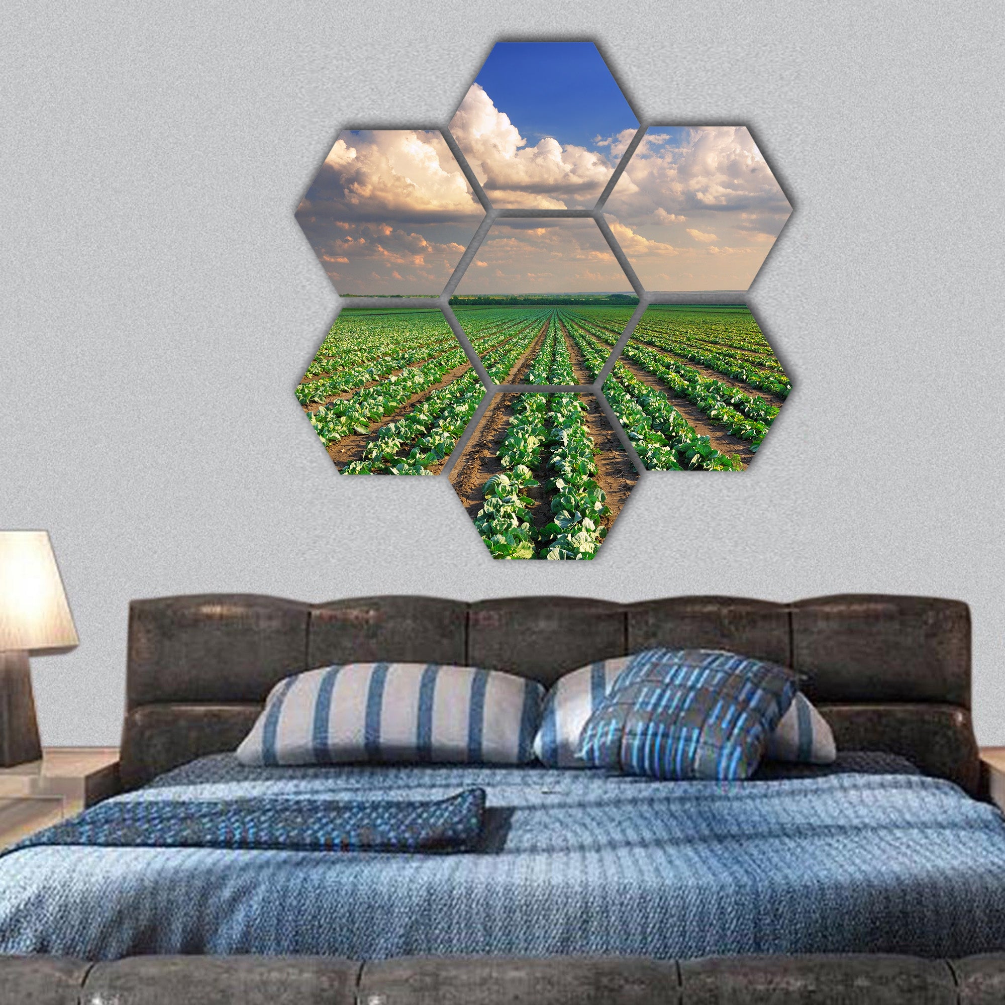 Sunrise over the cabbage field hexagonal canvas wall art