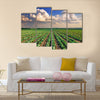 Sunrise over the cabbage field Multi panel canvas wall art