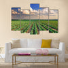 Sunrise over the cabbage field Multi panel canvas wall art