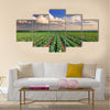 Sunrise over the cabbage field Multi panel canvas wall art