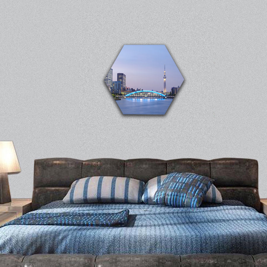 Tokyo skyline with Tokyo Sky Tree hexagonal canvas wall art