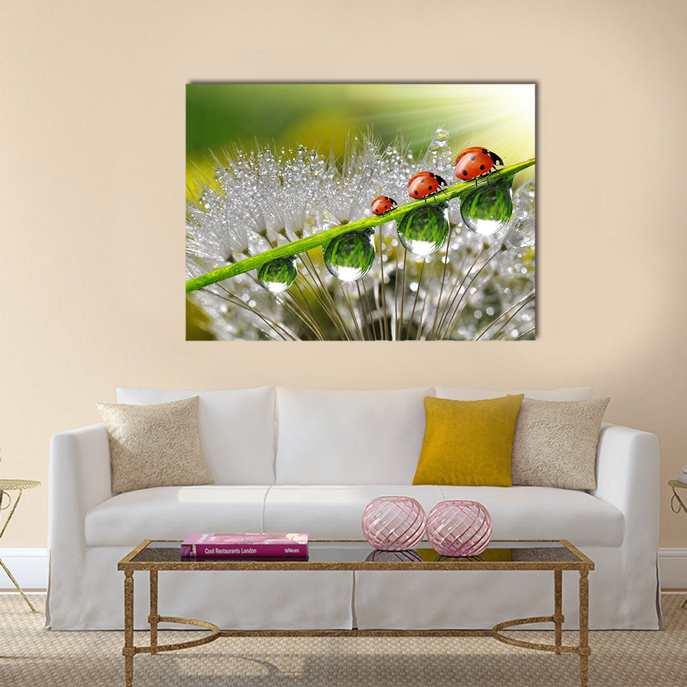 Ladybugs With The Dew Drops On  A Plant, Multi Panel Canvas Wall Art