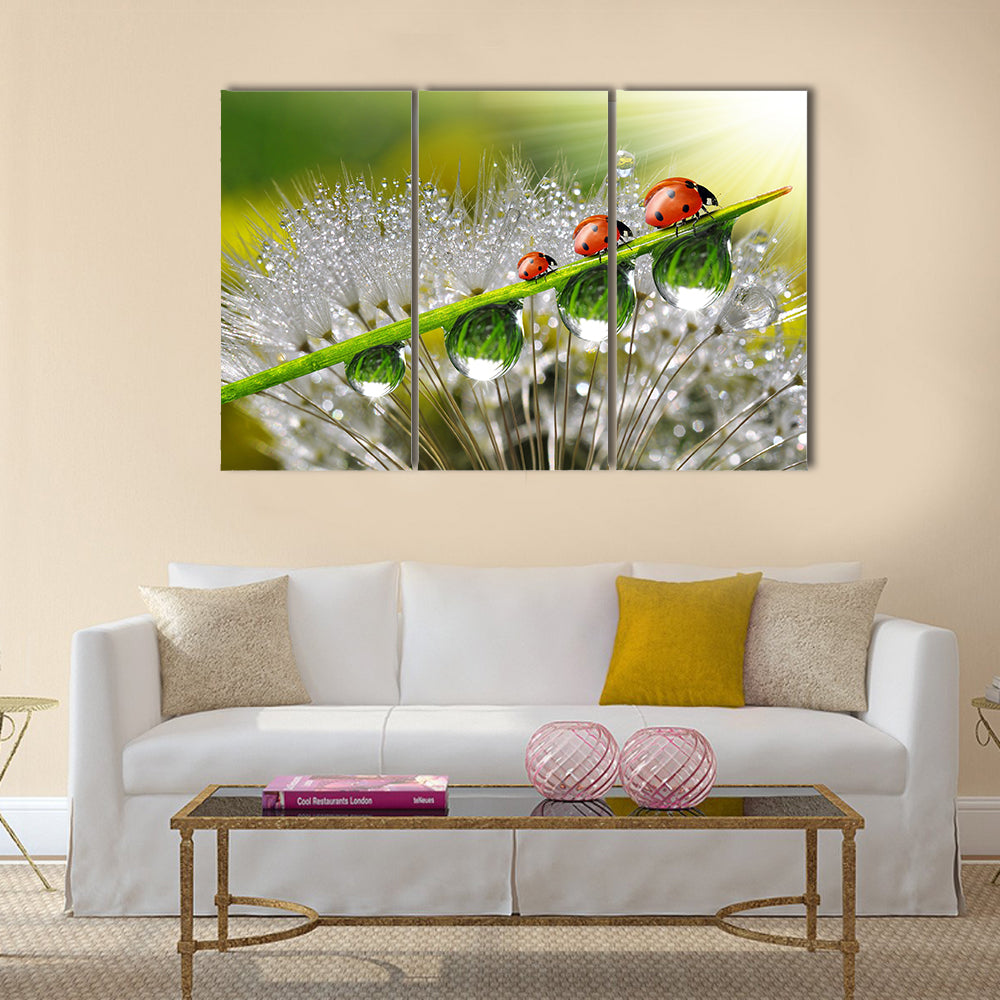 Ladybugs With The Dew Drops On  A Plant, Multi Panel Canvas Wall Art