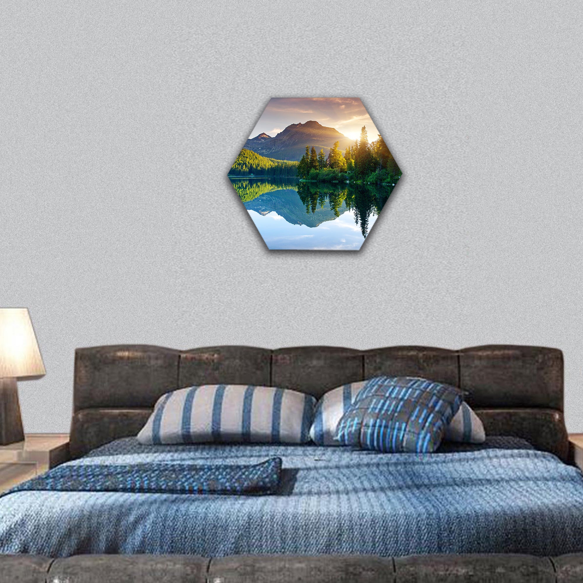 Mountain lake in National Park, Europe hexagonal canvas wall art