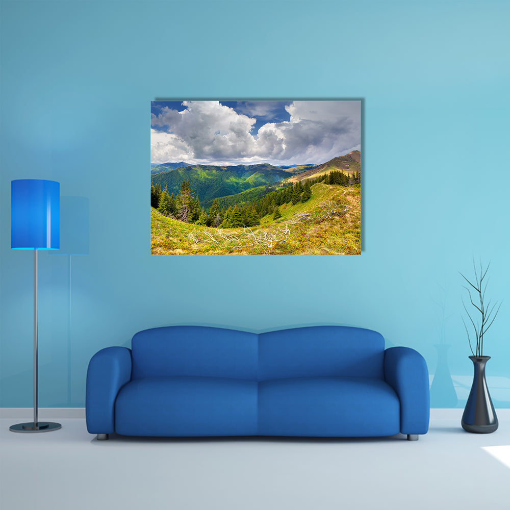 The Beautiful spring landscape in the Carpathian Mountains, Ukraine Multi Panel Canvas Wall Art