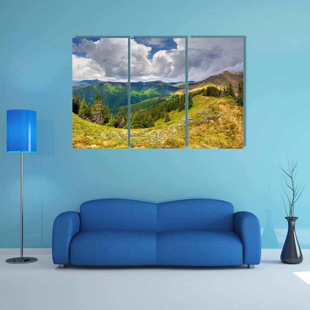 The Beautiful spring landscape in the Carpathian Mountains, Ukraine Multi Panel Canvas Wall Art