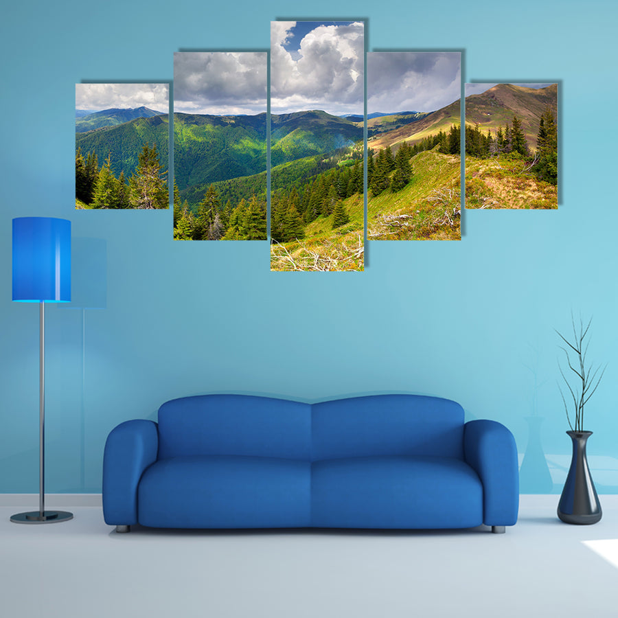 The Beautiful spring landscape in the Carpathian Mountains, Ukraine Multi Panel Canvas Wall Art