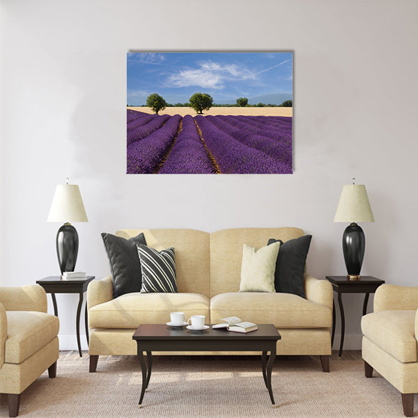 French landscape with a beautiful lavender field Multi Panel Canvas Wall Art