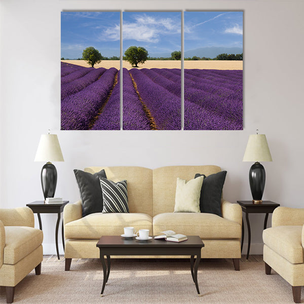 French landscape with a beautiful lavender field Multi Panel Canvas Wall Art