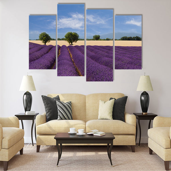 French landscape with a beautiful lavender field Multi Panel Canvas Wall Art
