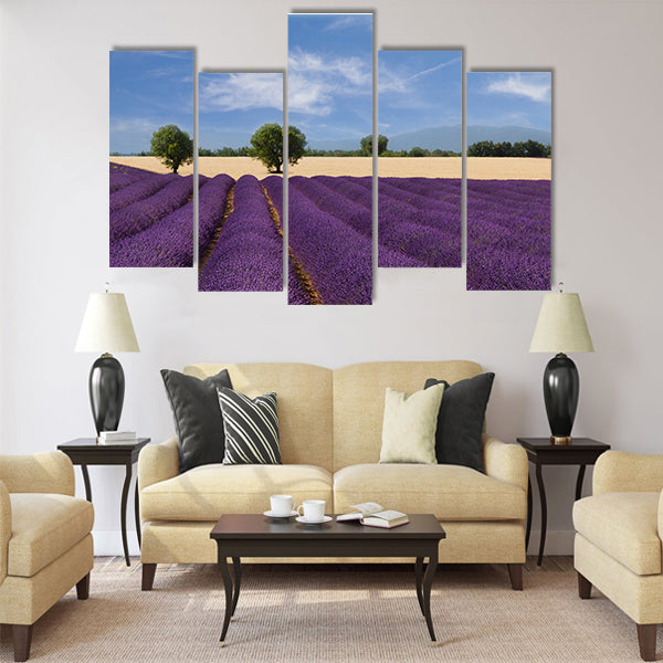 French landscape with a beautiful lavender field Multi Panel Canvas Wall Art