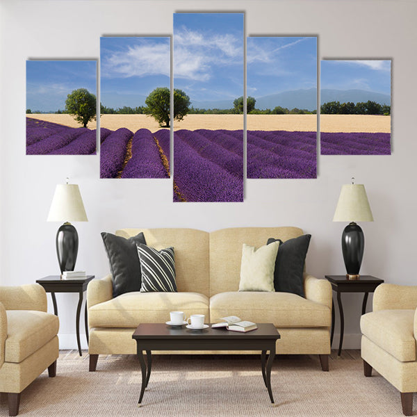 French landscape with a beautiful lavender field Multi Panel Canvas Wall Art