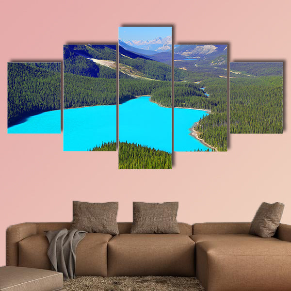 Peyto Lake of Banff National Park in Canada Multi panel canvas wall art