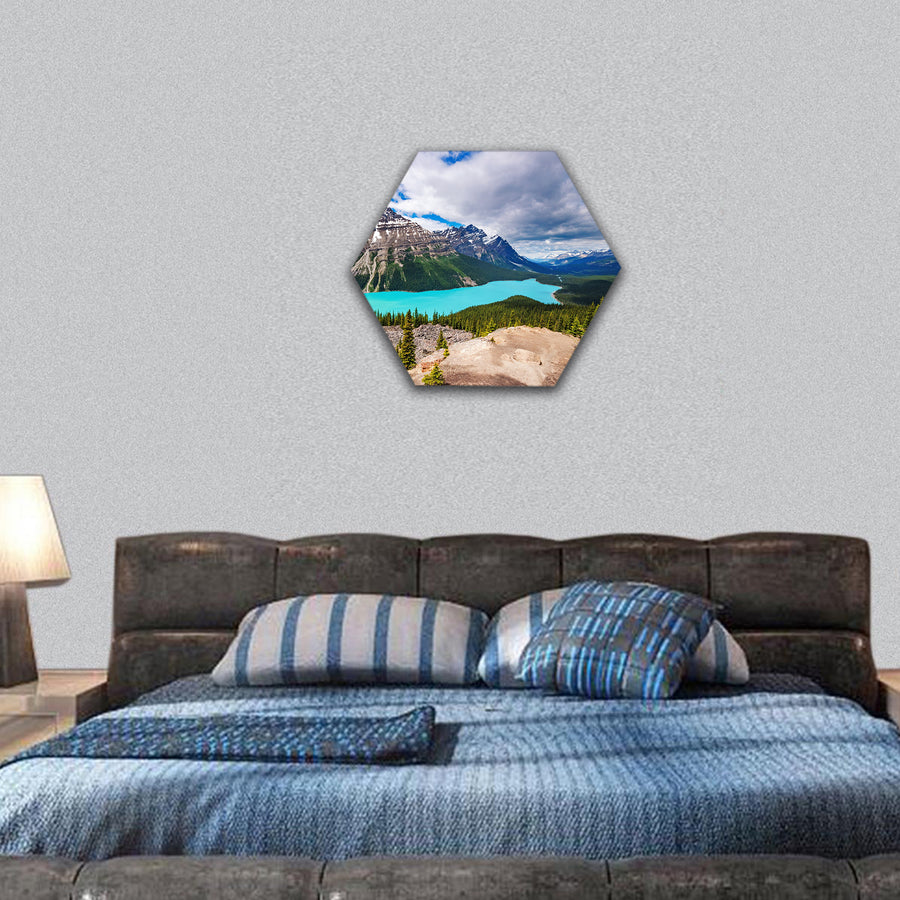 Peyto Lake hexagonal canvas wall art