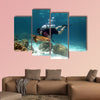 Young Man Scuba Diver between Water Surface near a turtle Multi panel canvas wall art