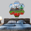 Dutch windmills with red tulips close the Amsterdam, hexagonal canvas wall art