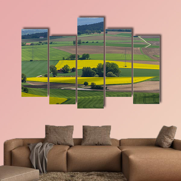 Spring landscape with canola fields Bavaria multi panel canvas wall art