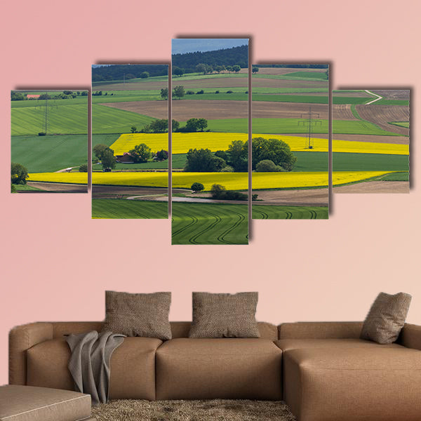 Spring landscape with canola fields Bavaria multi panel canvas wall art
