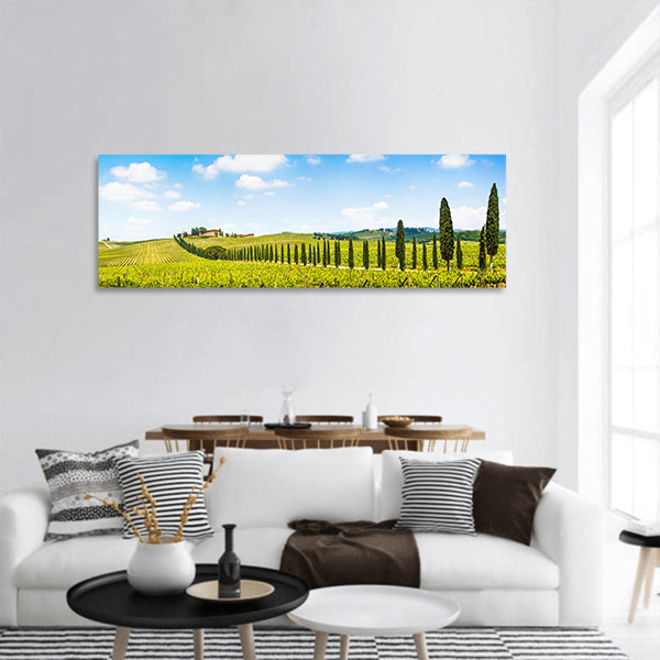 Tuscany landscape with vineyard in Chianti region, Tuscany panoramic canvas wall art