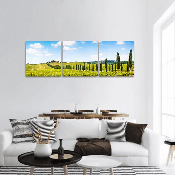 Tuscany landscape with vineyard in Chianti region, Tuscany panoramic canvas wall art