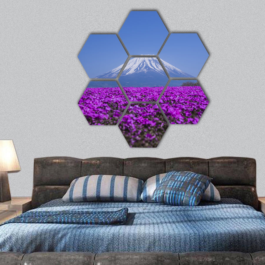 Phlox wide and Mount Fuji hexagonal canvas wall art