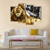 The King Multi panel canvas wall art