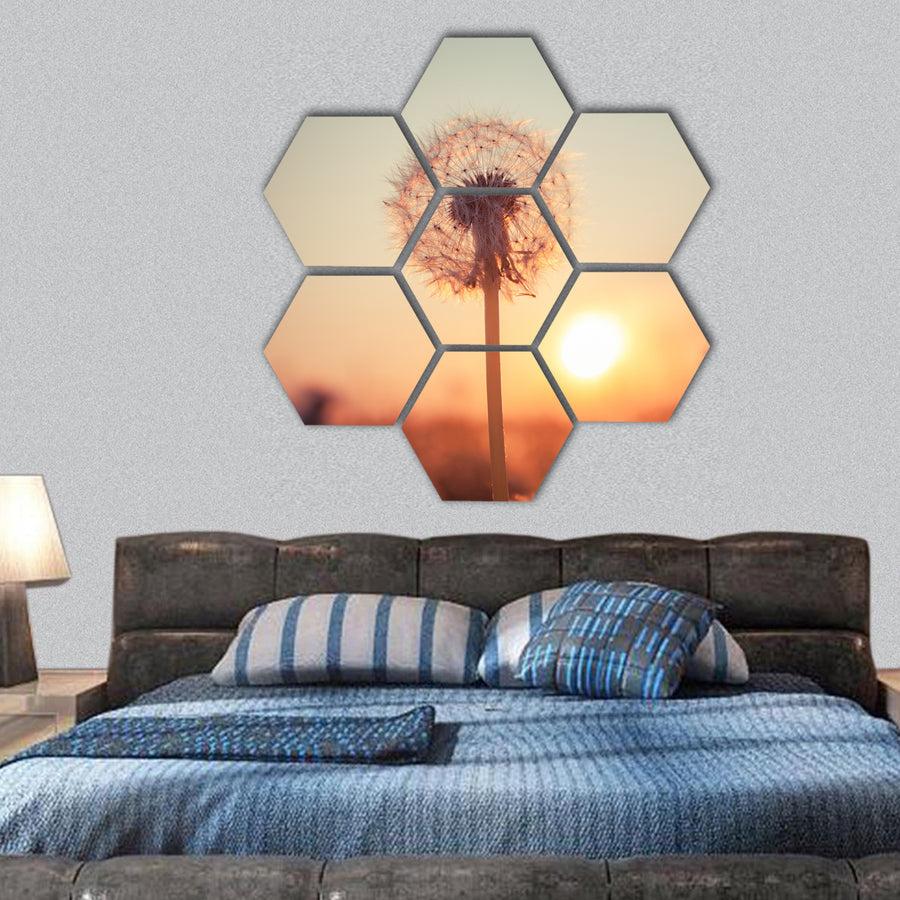 Real field and dandelion at summer sunset hexagonal canvas wall art