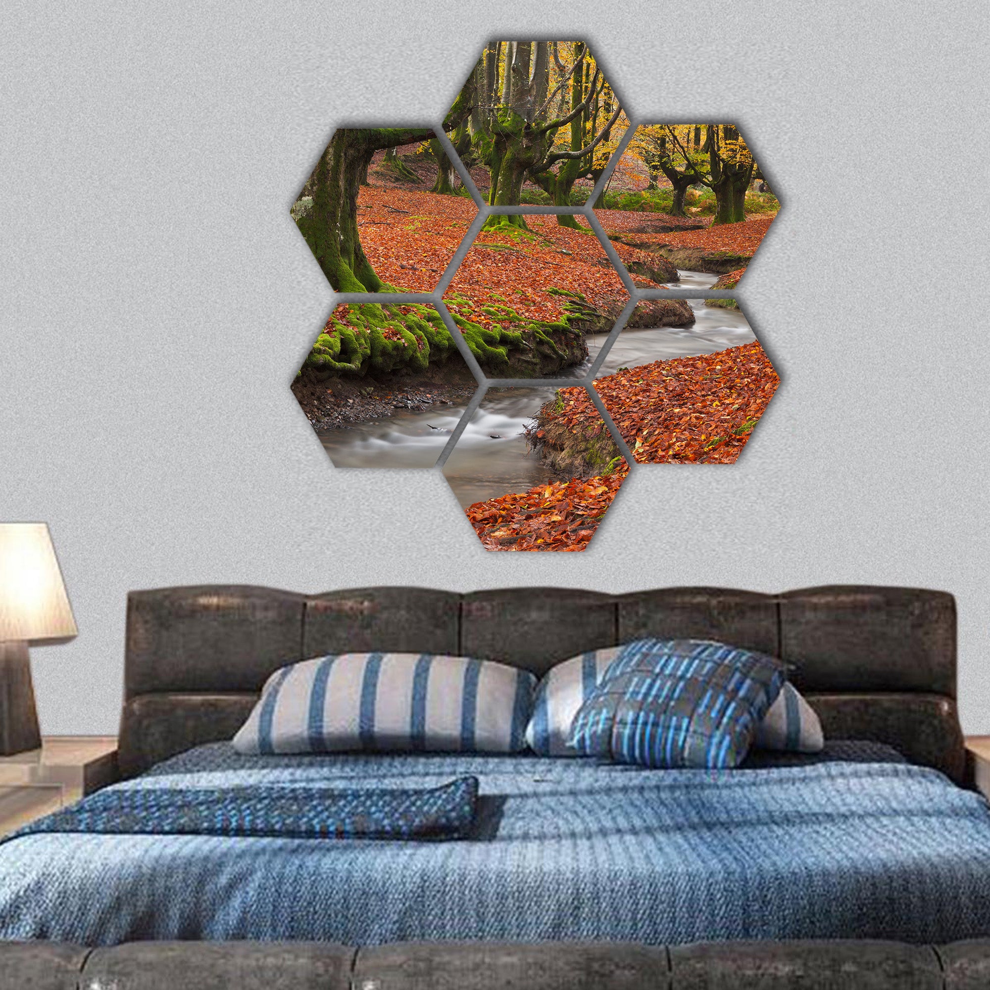 Otzarreta beech forest, Gorbea Natural Park, hexagonal canvas wall art