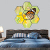 monarch butterfly on yellow flower hexagonal canvas wall art