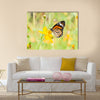 Monarch butterfly on yellow flower Multi Panel Canvas Wall Art