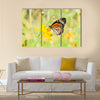 Monarch butterfly on yellow flower Multi Panel Canvas Wall Art