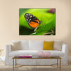 Tiger Longwing butterfly Heliconius hecale sitting on a green leaf Multi Panel Canvas Wall Art