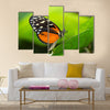 Tiger Longwing butterfly Heliconius hecale sitting on a green leaf Multi Panel Canvas Wall Art