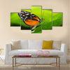 Tiger Longwing butterfly Heliconius hecale sitting on a green leaf Multi Panel Canvas Wall Art