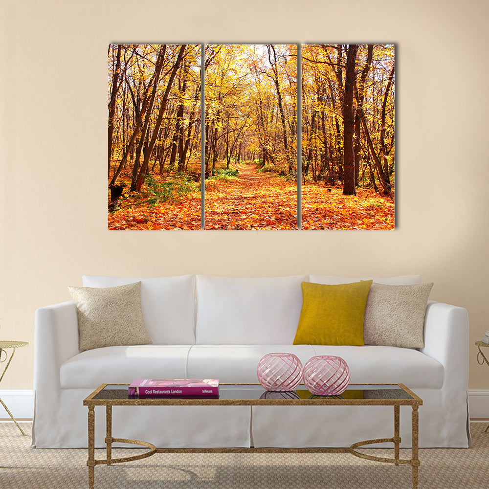 Beautiful landscape - autumn forest Multi panel canvas wall art