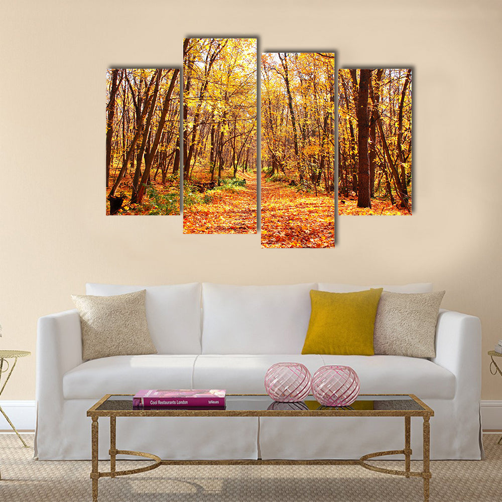 Beautiful landscape - autumn forest Multi panel canvas wall art