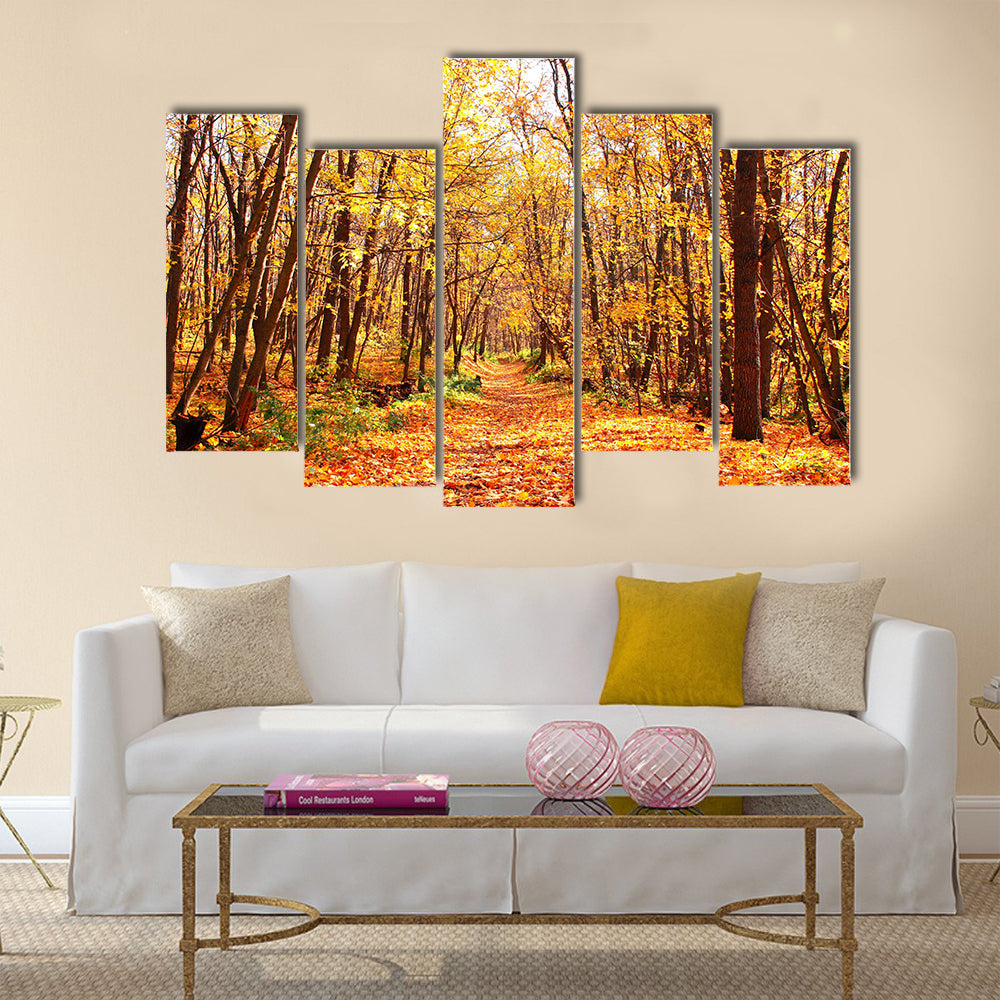 Beautiful landscape - autumn forest Multi panel canvas wall art