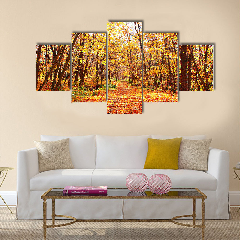 Beautiful landscape - autumn forest Multi panel canvas wall art